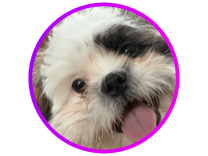ODiE